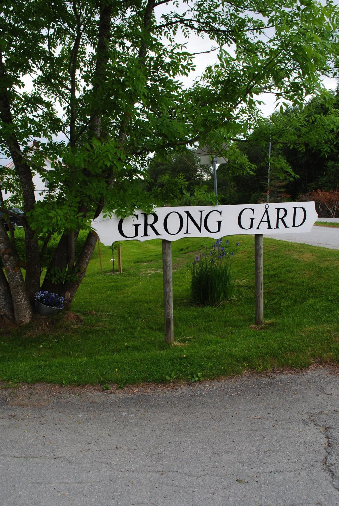Grong Gard Guesthouse Exterior photo